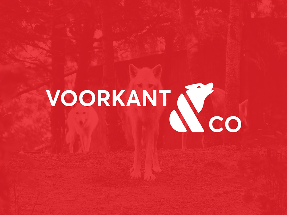 thumbnail voorkantenco